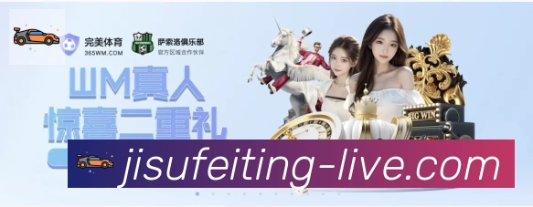 互动解说服务